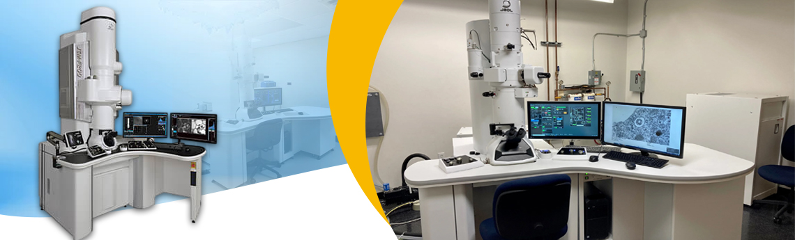 Transmission Electron Microscope (TEM)